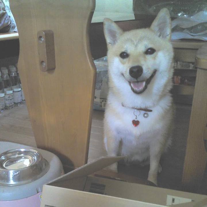 1715f4af 2737 495a 973c 766ee03219ac 1596972589353