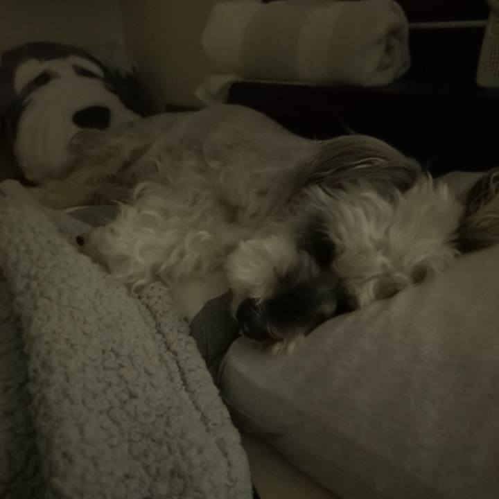 17160d55 0a6f 47d7 94fb 6154e6c4f890 1757511127257