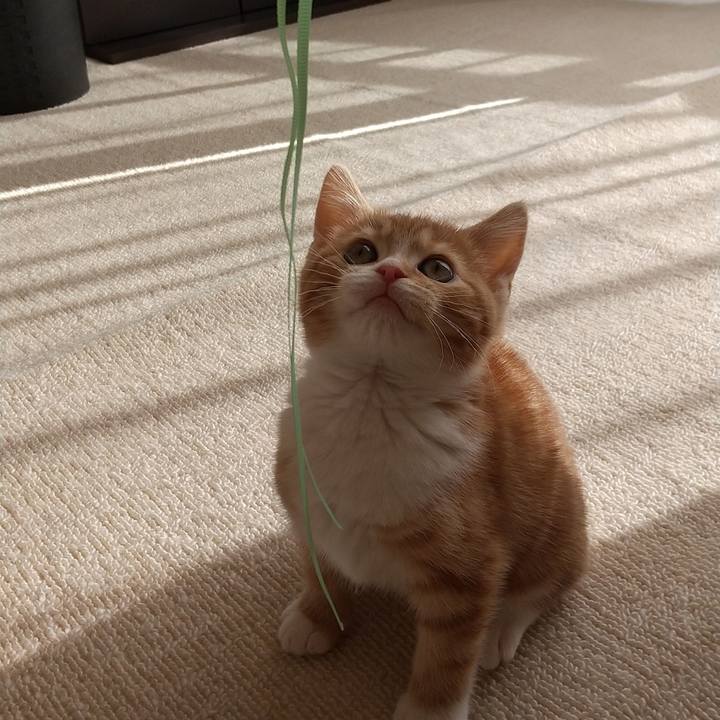 17163431 193d 4f03 bc06 22c4a583588c 1621334902907