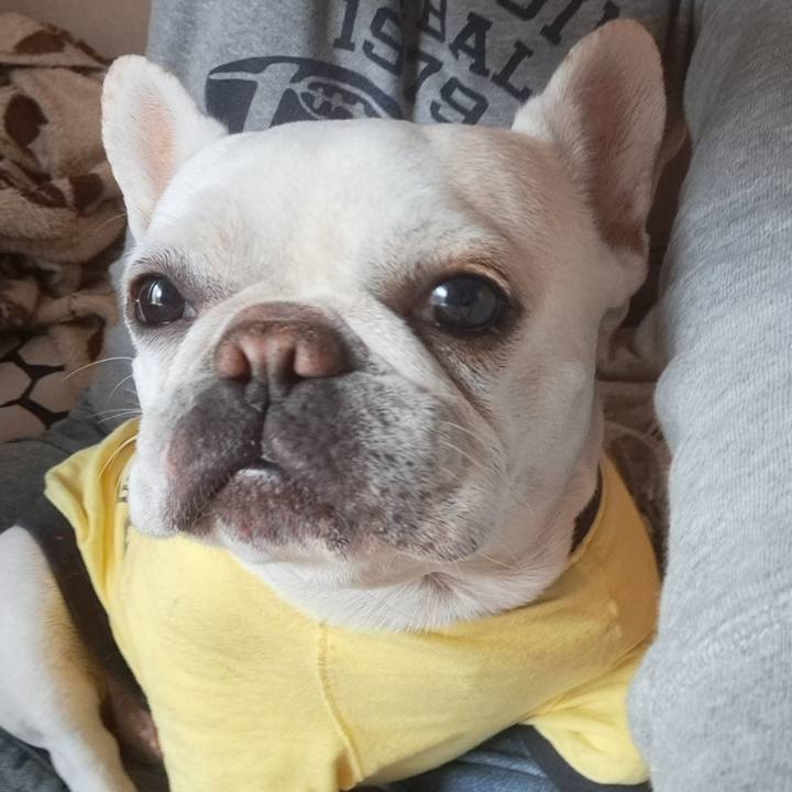 17163a08 7d8c 4b53 bbc3 fe7fe2f31013 1758887991179