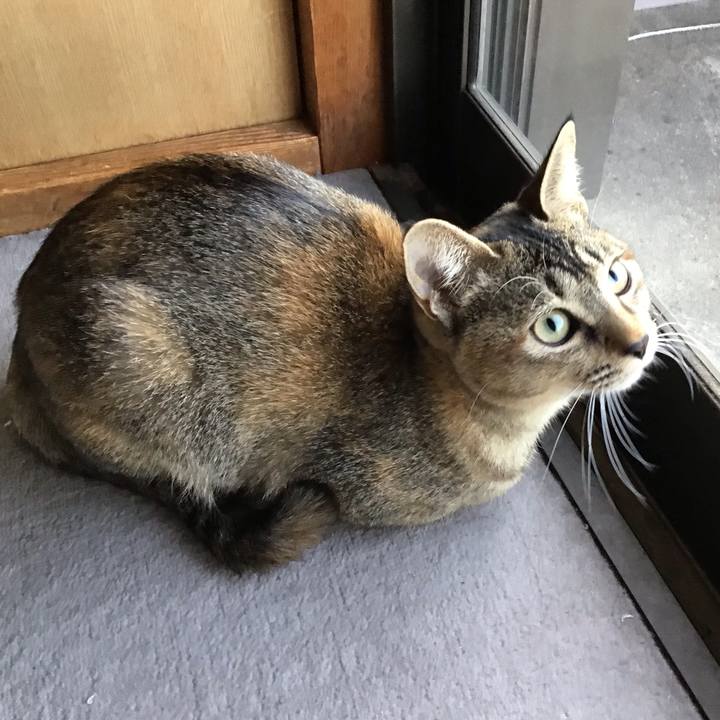 17164314 7108 493c 9f51 f9f2acf93c62 1573855463286