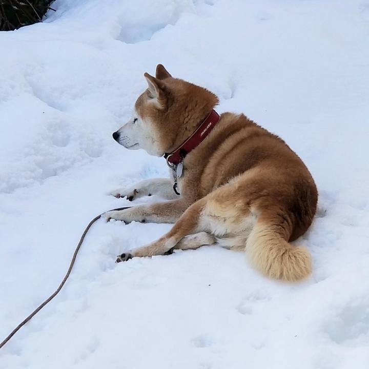 17164c0a 3158 4b03 ae5f d4dfe717fb1c 1735699645355