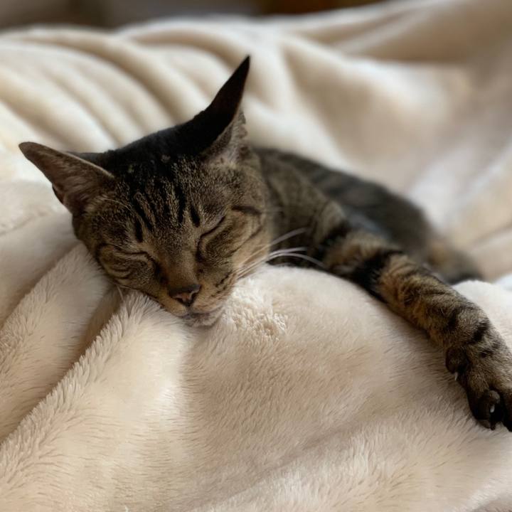 17164e45 9c80 405f 847c fd6a7333eed2 1559092429173