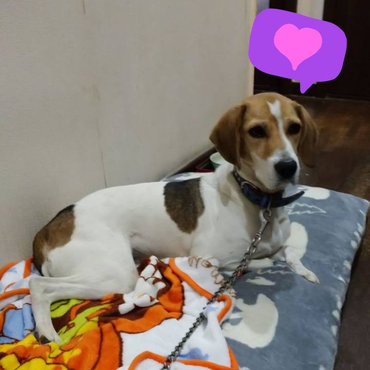 1716644e c19c 44c6 89aa 37a90b844e93 1606217655189