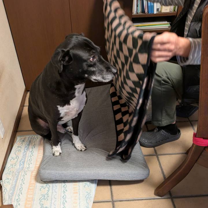 171692da 43ee 499c 9a24 83dcdb735831 1732359341710