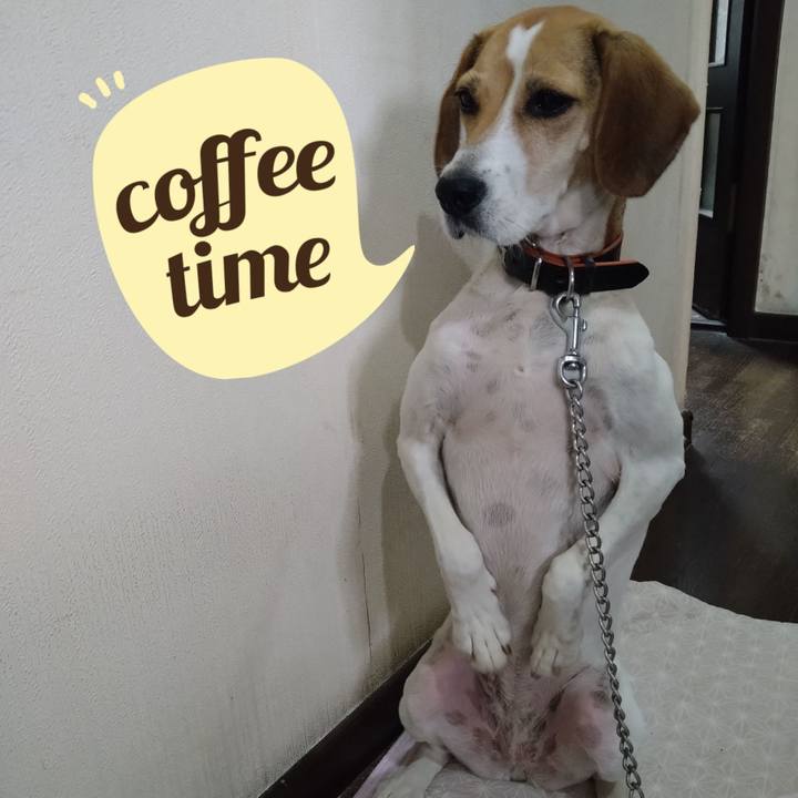 1716a332 68f1 420d 9fb1 c7cb9d5b4cd5 1632821522805