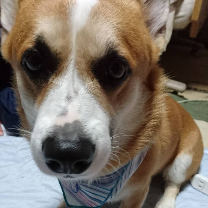 1716dd85 c025 4e7f 96de 5f3f4453d521 1599564141889