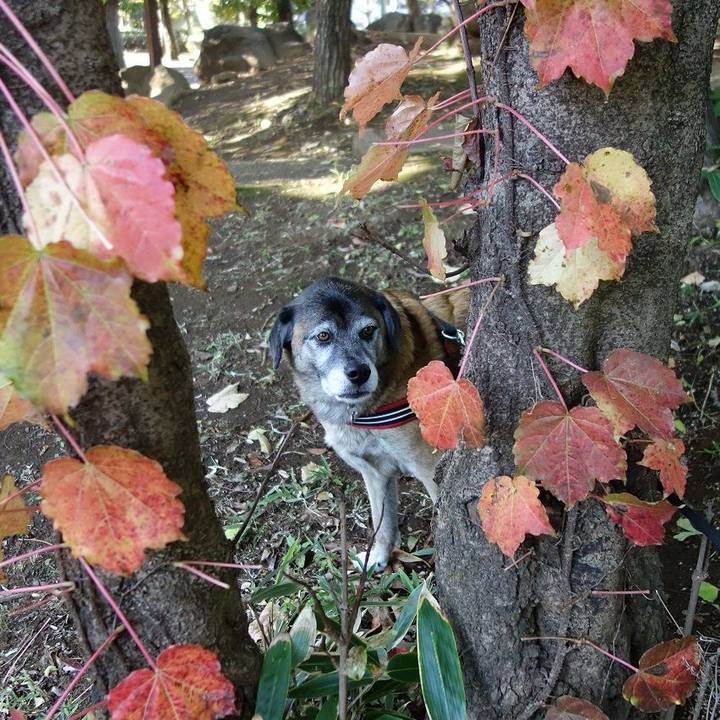 1716f763 0161 4079 9569 9ad150989a52 1751625455917