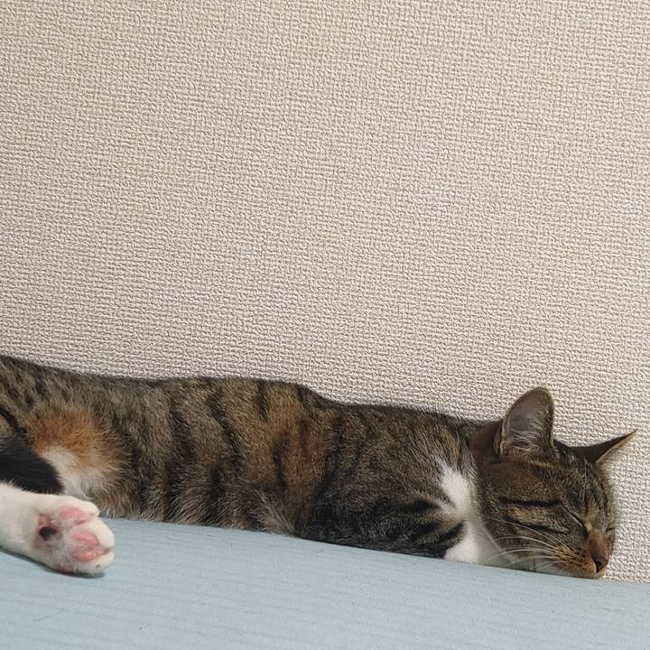 1717818a 7204 4cd1 b8cb cc6bf3c3166a 1654354595521