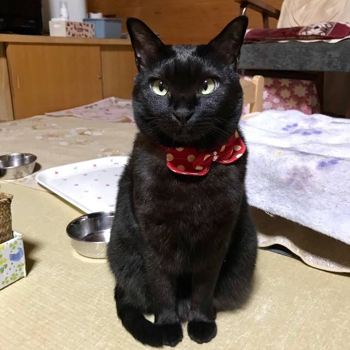 1717a77a 7c82 4ba3 88e2 e542a79ef5a7 1549716839434