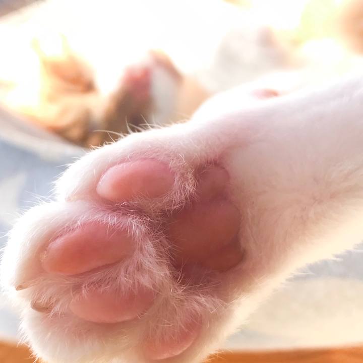 1717d6d9 15a2 4571 ae53 7d9faa785964 1526135732739