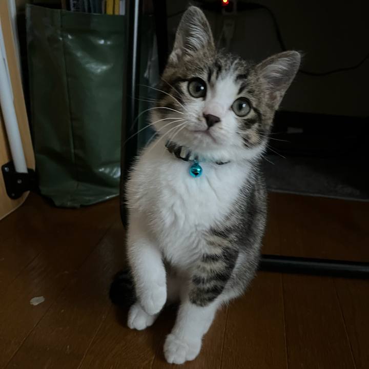 1717f5d6 aaed 4781 8144 0bf3e2e72f42 1767422308849