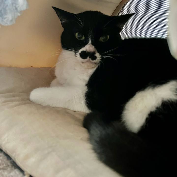 17181755 d02b 47a8 83a4 4bb797118236 1684576012846