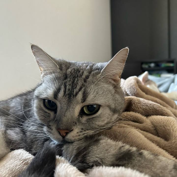 17182762 cc29 45ad 9616 bebbb3532076 1684191519331