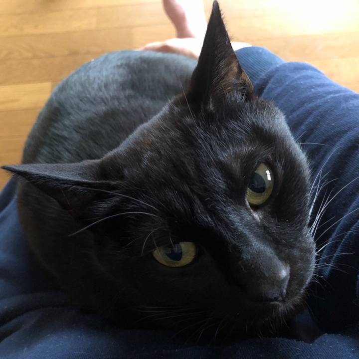 17182f34 55b6 4dbb b4b6 dee7bb768df5 1714033494451