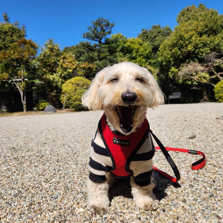 171833bc 0b7e 4277 b03f 07a40fc5aeaf 1773458937578