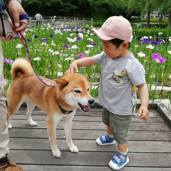 17184237 6b23 441d baac 30928ccbb0c6 1590923523325