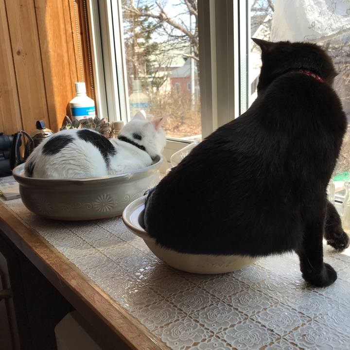 171866d4 cde0 4c6f 88aa e83cc50cd24c 1587526432145