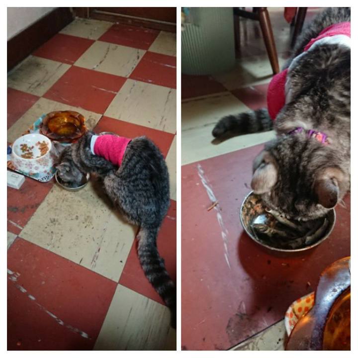 171878d2 3bd3 446a ae35 b966ab37115d 1586642195059