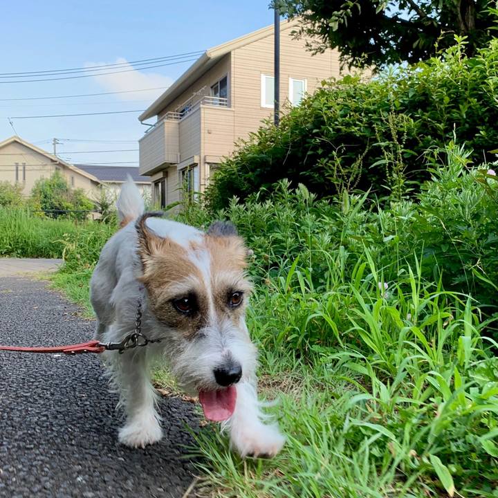 17191d53 cc5e 49e1 b9a9 08582a27e43c 1626765901892