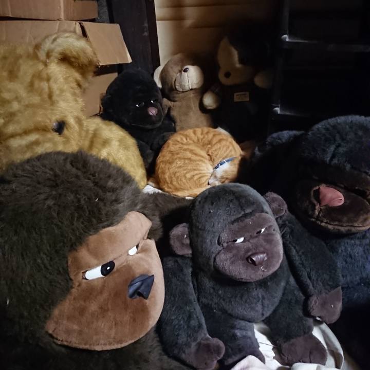 171952c7 4a3e 4f23 9081 94bf7705a504 1604664478637