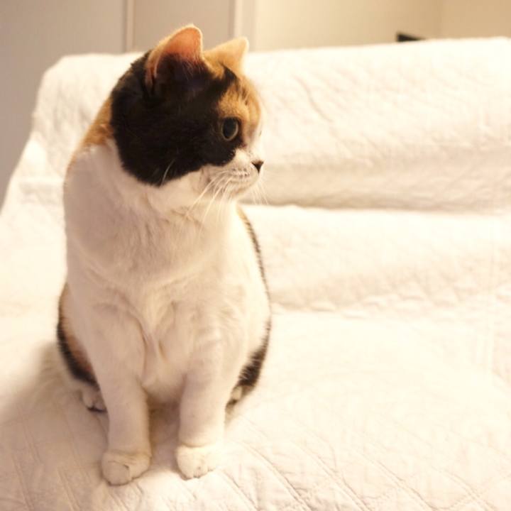 17198135 e997 41c9 9e94 b7a75d9ad400 1532771206354