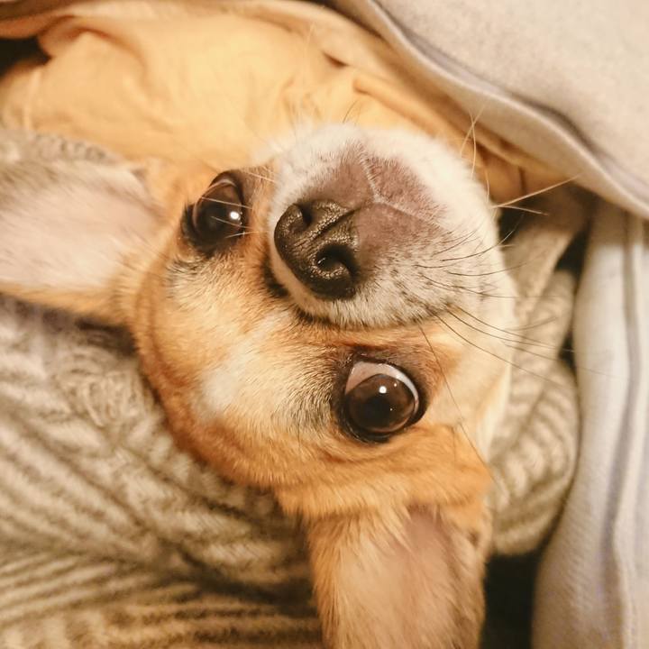 1719a0e1 d1a0 43d8 80f8 0535e56d0b23 1576626522152