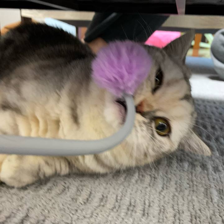 1719a386 e251 4fd2 8142 863cd5fbd37c 1705390900244