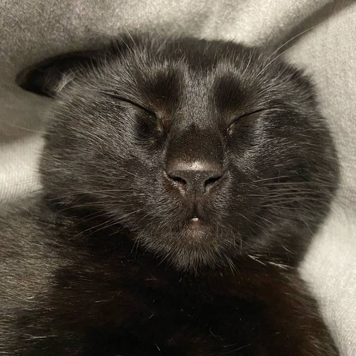 1719d16e 3768 4c2e 8a19 436e5fdb4193 1623417776635