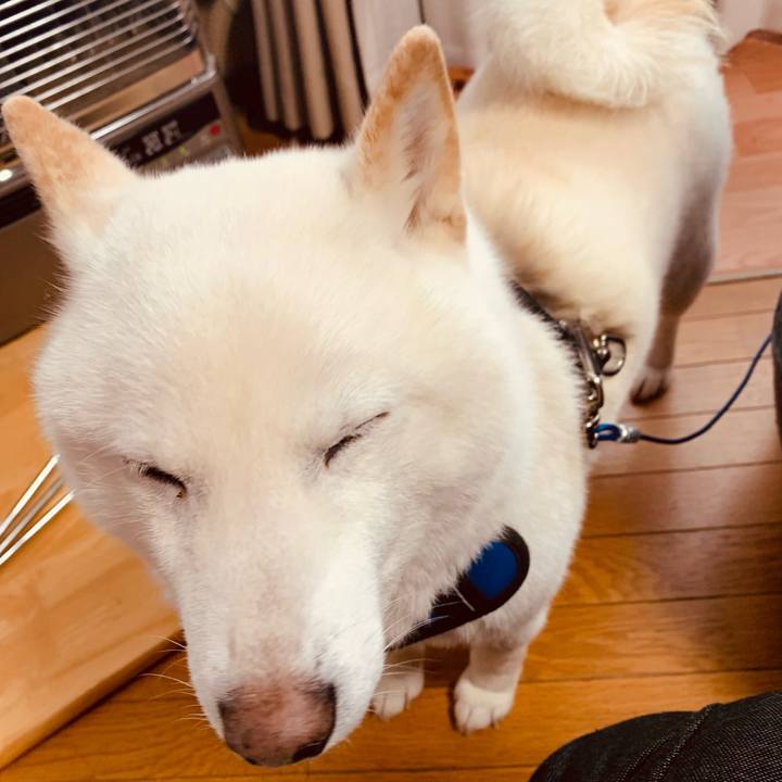 171a0b96 84be 4f7b a6e2 0ce0da90adbd 1644387036357