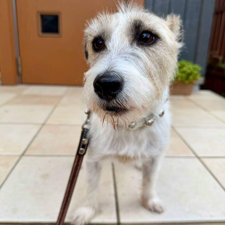 171a0ce3 7616 4d8a a4f4 ffdb090df2ec 1761729487602