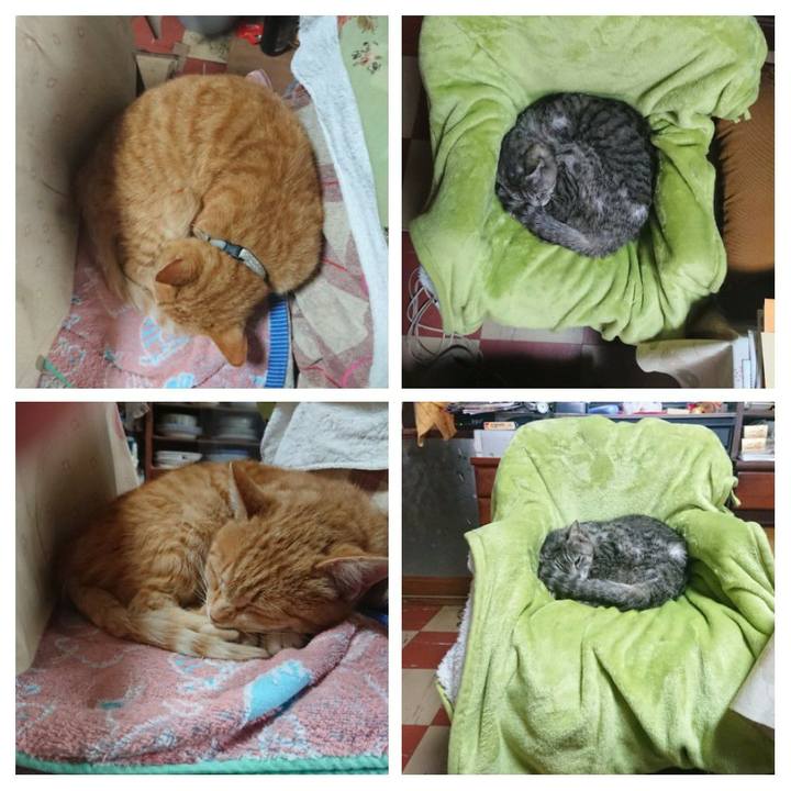 171a1caf 4d57 4bdd b019 0b5a9c710308 1587883296905