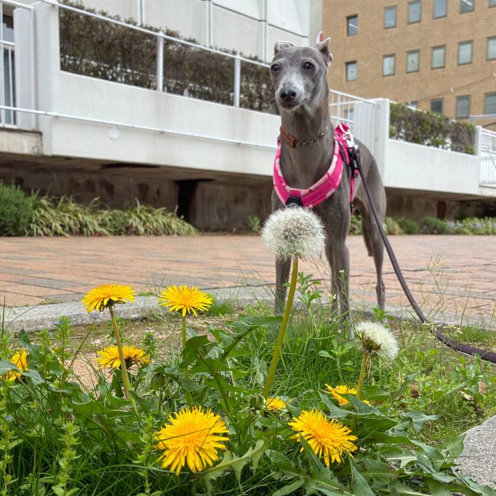 171a4e6a e584 419c 8e20 39b66f88f7fe 1775903285328