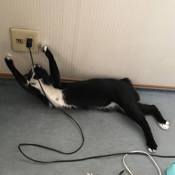 171a56a3 cdc4 4014 a8d1 c70d03329970 1541821514772