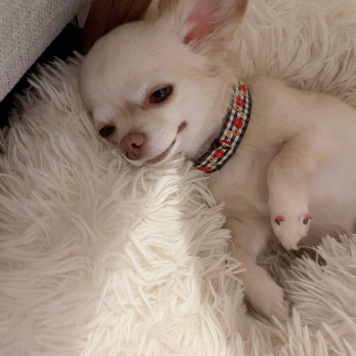 171aa4be 9236 4384 af94 2f40bba223af 1724483425845