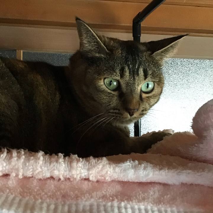 171aa7fd e28a 49a2 83e4 8b9afaede464 1695529653929