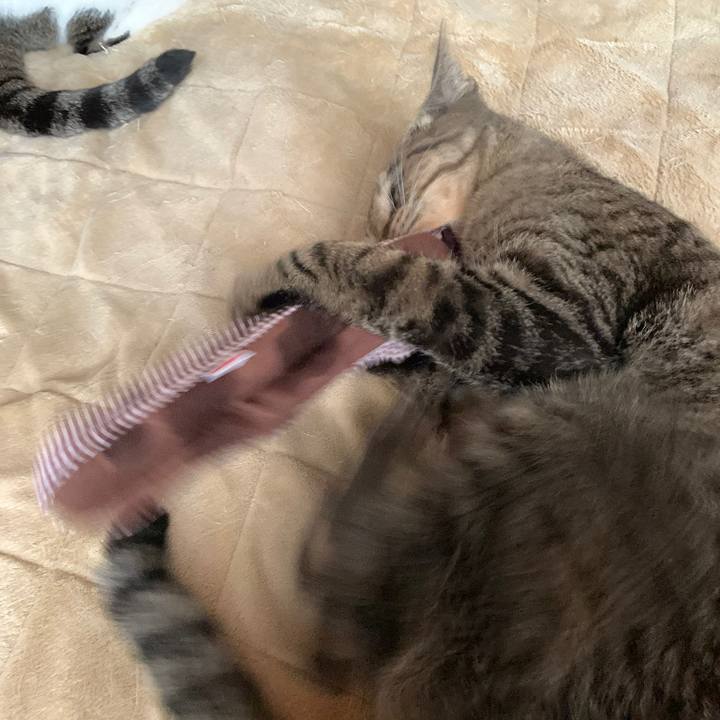 171ae3c7 cb73 4f62 b45e a31397f8f878 1582507826177