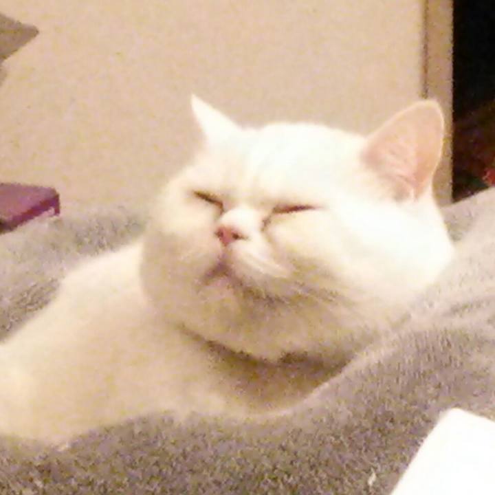 171afd7b 0f95 494d 86ec 5edade3d06b6 1515586358603