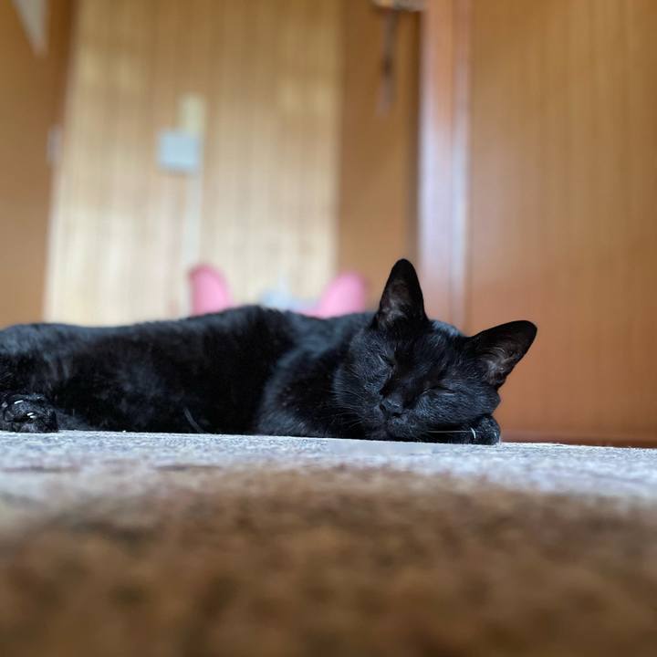 171b026b 6071 424c 8757 78e24e561b59 1662687741305