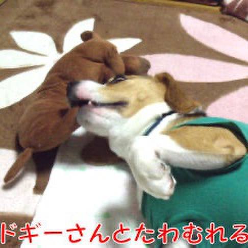 171b04b2 a195 446b a76e 44b624028f20 1711239772210