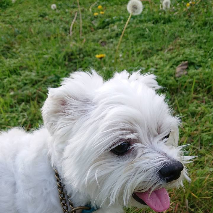 171b1467 5366 404b 80c1 5e78dcabe4e7 1544169284827