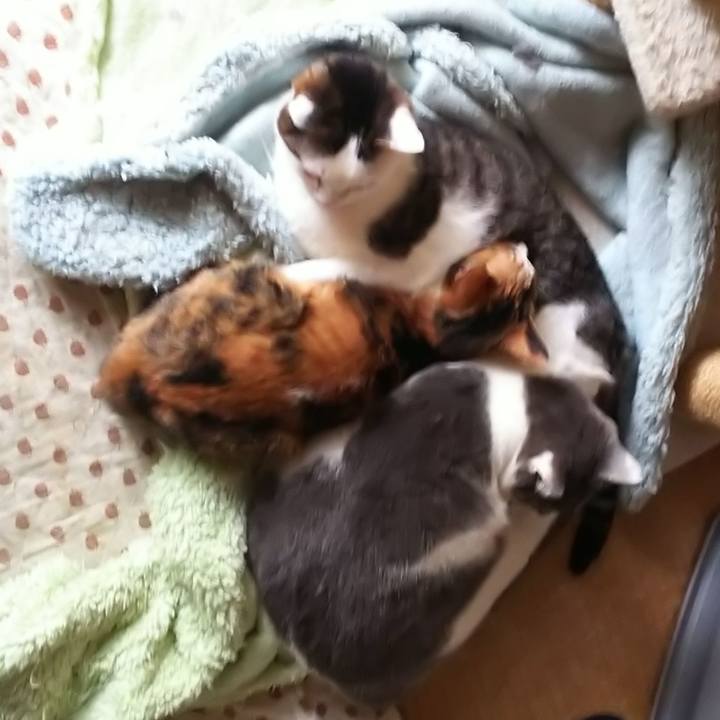 171b350a 53d0 47f9 9d6c 4b6e158e804c 1556631763807