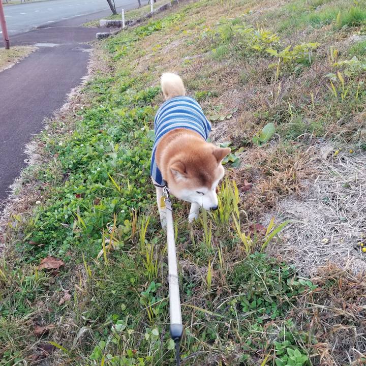 171b373f 0b35 404b 928b 378035bde1d4 1637393432380