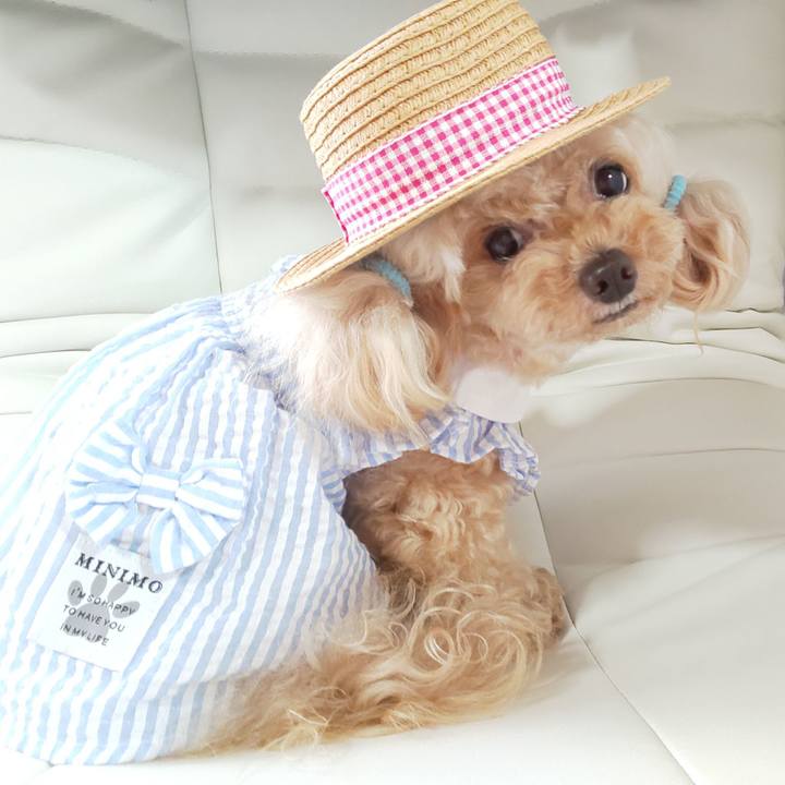 171b454a de03 45df 917e f67bc1e53d6c 1629950702458