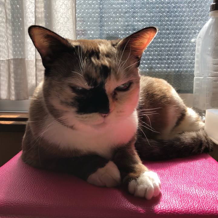 171b55c6 3535 4e0c 96d6 65c6a36a2c96 1678108000478