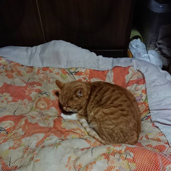 171bab7b 1843 4313 ba4b 4c1d6c8a848c 1577797119776