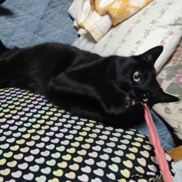 171bc0bf 2505 4d05 ad44 b1c495c5c71f 1683291489515