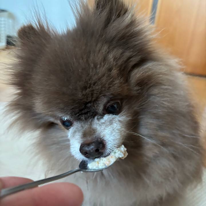 171bc322 7d56 4ab0 97d8 5cc98a250766 1775200327878