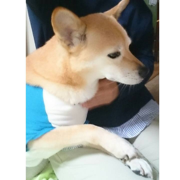 171bc53f b632 4057 a8ed e7600e39f688 1521987573588