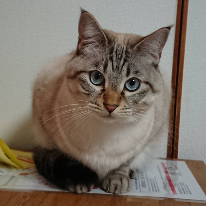 171bdb24 b9fb 4cce 891c 67fd6150233c 1545464999192